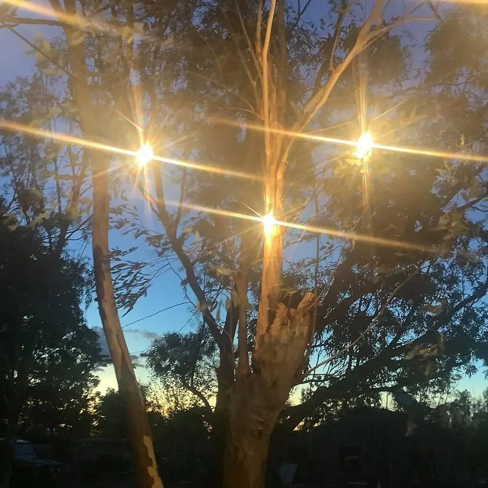 Bed & Breakfast Corella Creek Country Farm Stay Nelia