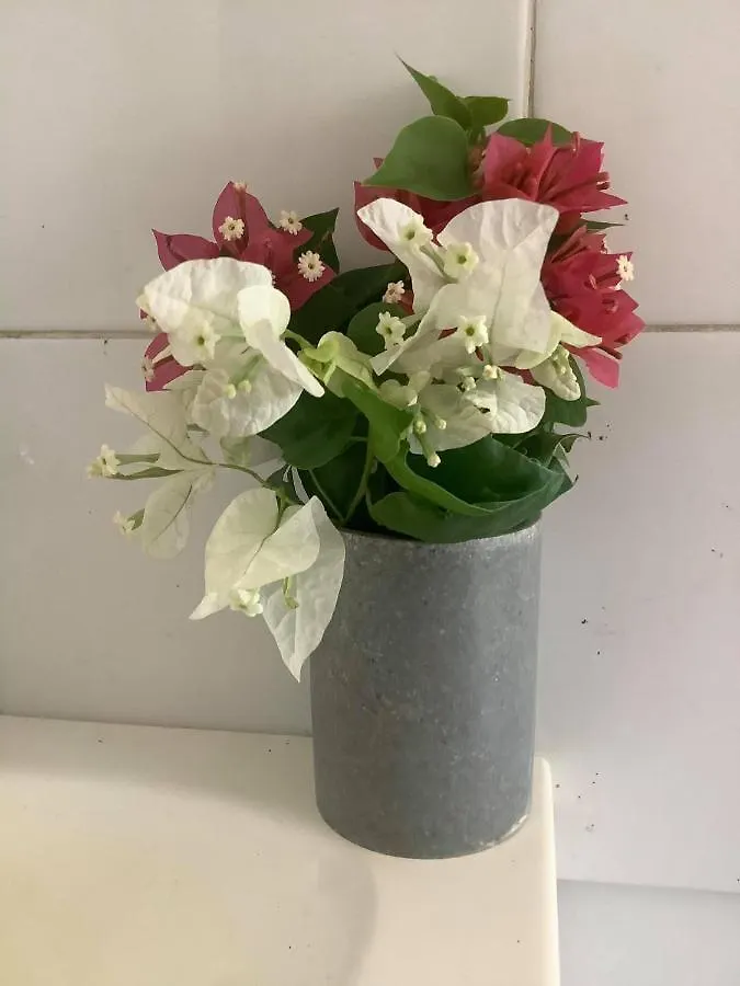 Bed and breakfast Corella Creek Country Farm Stay Nelia