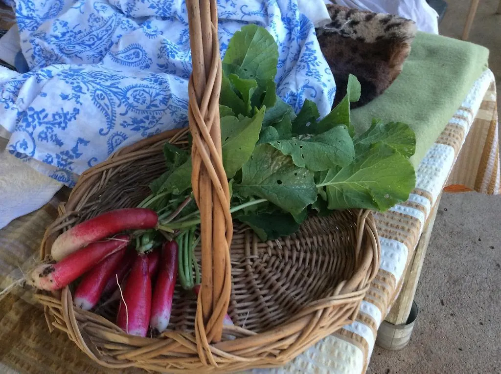Corella Creek Country Farm Stay Nelia Bed and breakfast