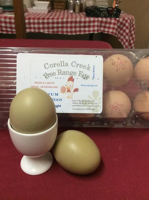 Bed and breakfast Corella Creek Country Farm Stay Nelia